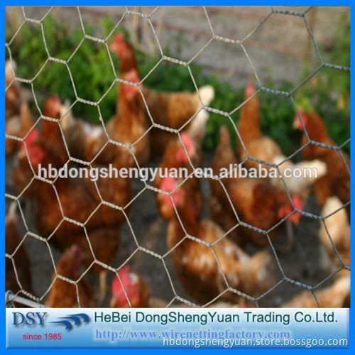 Hot! High quality army hesco barrier gabion box/hexagonal mesh/hexagonal chicken wire mesh